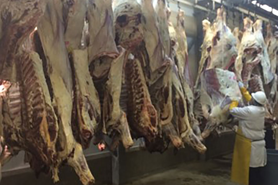 Meat-Processing2
